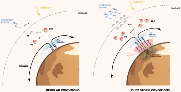 Diagram illustrating the atmospheric response to a localized dust storm in the northern hemisphere during the local summer season; high dust concentrations significantly increase the absorption of solar radiation, leading to greater atmospheric warming, especially in the middle atmosphere; furthermore, the increased atmospheric circulation associated with the dust storm enhances the vertical transport of water vapor from the lower atmosphere, promoting water injection at higher altitudes and increasing hydrogen escape from the exobase. Image credit: Brines et al., doi: 10.1038/s43247-025-03157-5.