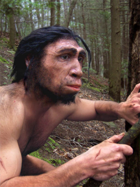 This is an artist's reconstruction of Homo erectus. Image credit: Yale University.