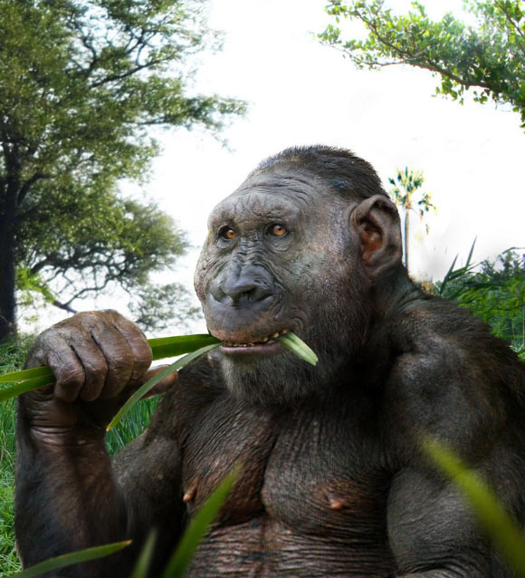 Paranthropus boisei. Image credit: © Roman Yevseyev.