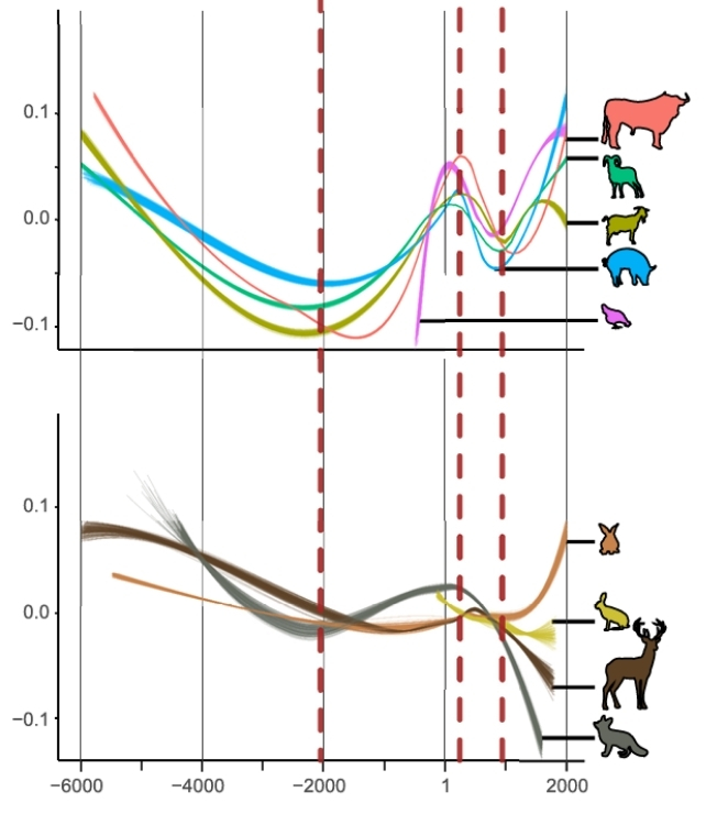 Two graphs comparing body masses changes over time for wild and domestic animals
