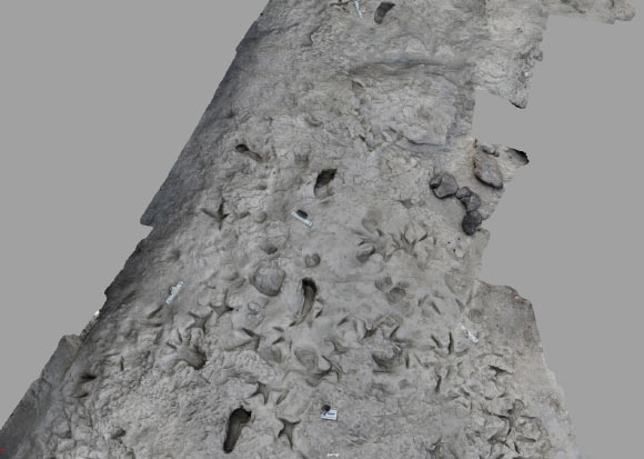A 3D computerized model of the surface of the area near Lake Turkana in Kenya shows fossil footprints of Paranthropus boisei (vertical footprints) with separate footprints of Homo erectus forming a perpendicular path. Image credit: Kevin Hatala / Chatham University.