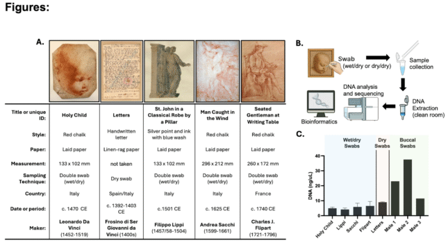 Da Vinci's DNA Comparison