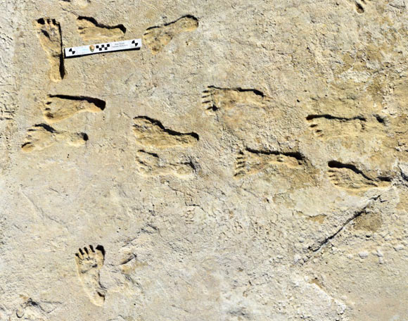 The ancient human footprints found at White Sands National Park in New Mexico, the United States. Image credit: Bennett et al., doi: 10.1126/science.abg7586.