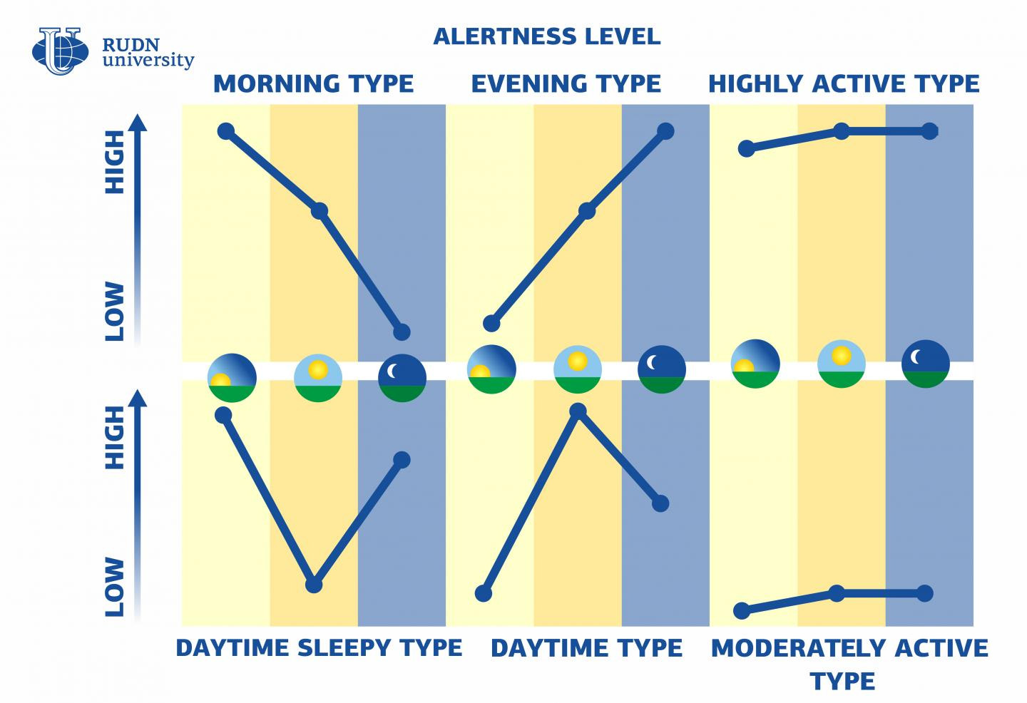 graph of alertness level over time for six different chronotypes