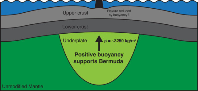 a diagram showing the 'swell' in the earth's crust below bermuda