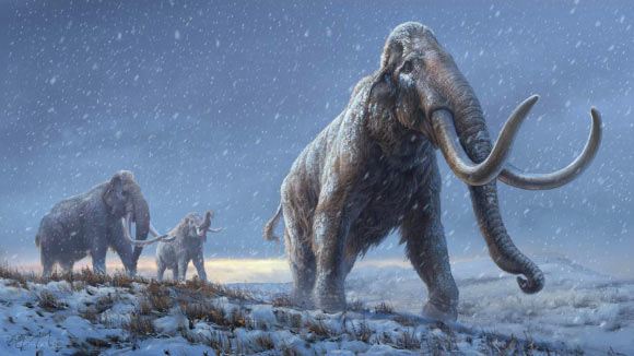 Life reconstruction of the steppe mammoth (Mammuthus trogontherii). Image credit: Beth Zaiken / Centre for Palaeogenetics.