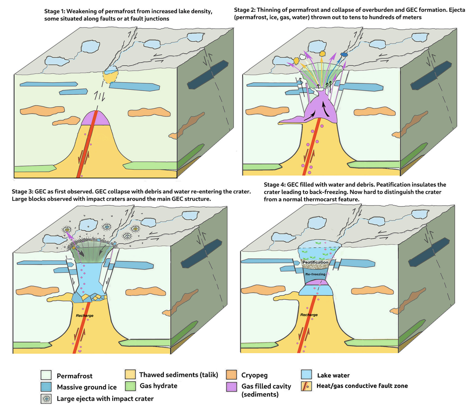 diagram showing four stages of GEC formation. 1 weakening of permafrost from increased lake density, some along fault lines. 2 thinning of permafrost and collapse, GEC formation, ejecta released tens to hundreds of meters. 3 GEC as first observed. 4 GEC fills with water and debris, peatification insulates crater leading to back-freezing. crater is disguised as normal thermocarst feature.