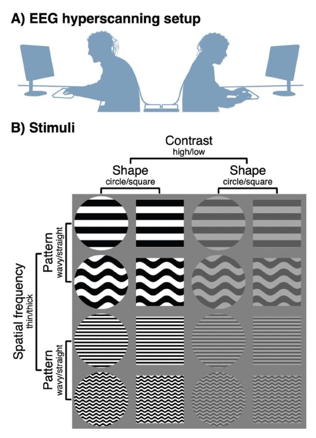 Our Brains Really Are in Sync When We Collaborate With Others