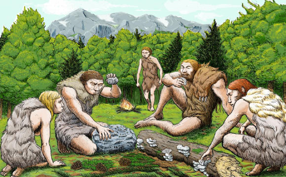 El Sidron Neanderthals taste wild mushrooms, pine nuts and forest moss. Image credit: Abel Grau, CSIC Communication.