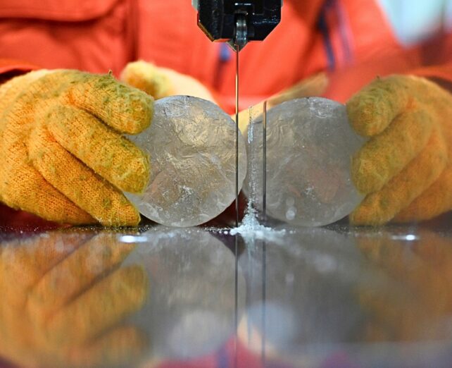 Gloved hands with two ice cores
