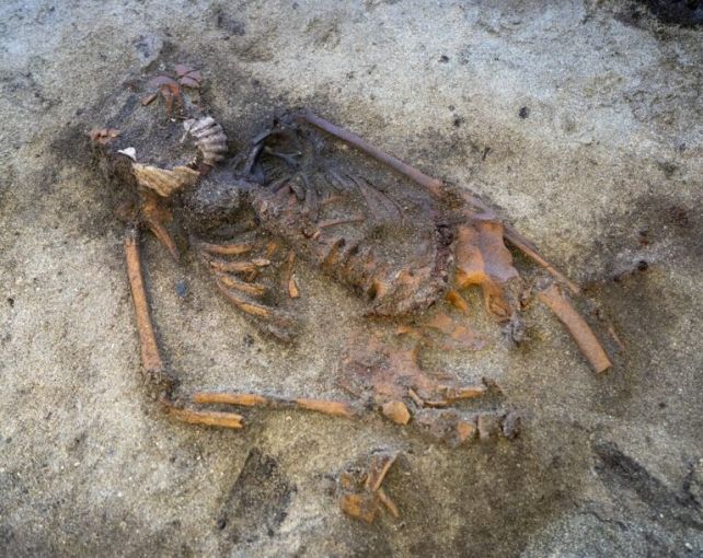 Remains of the woman discovered in the Viking-Age grave.