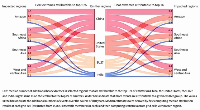 Graphic of the study findings