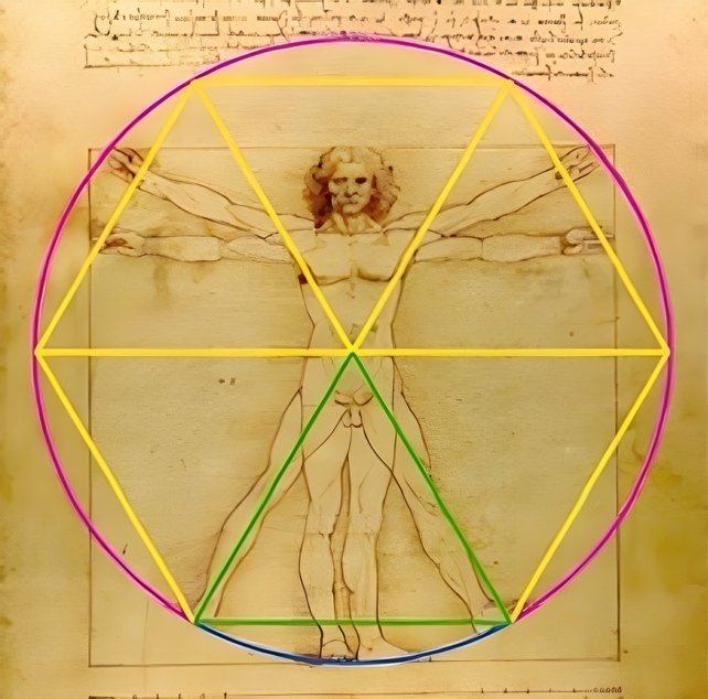 vitruvian man triangle