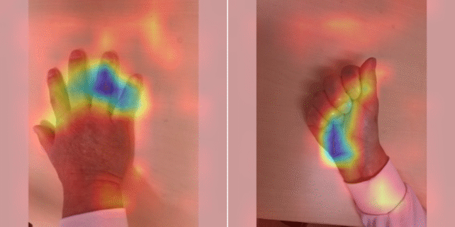 A Simple Photo of Your Hand 