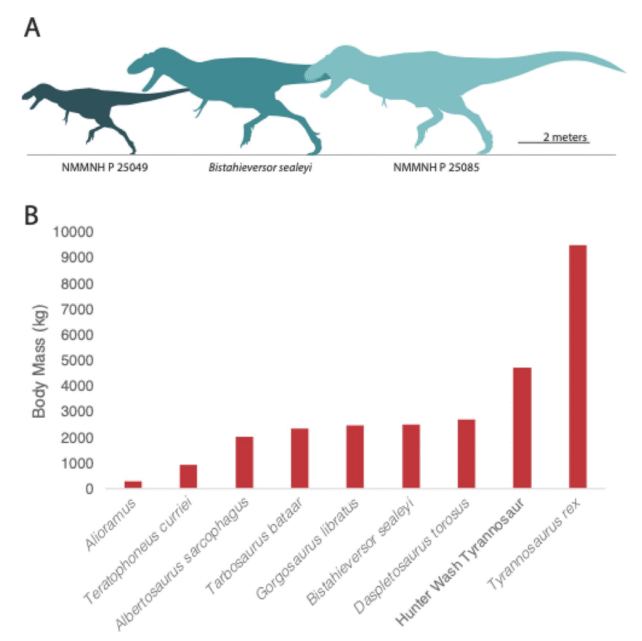 Giant Tyrannosaur Discovered in North America, The Largest of Its Era