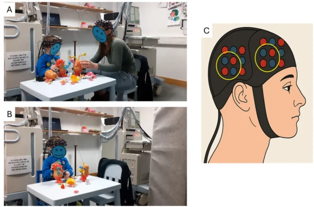 Graphic depicting the experiments