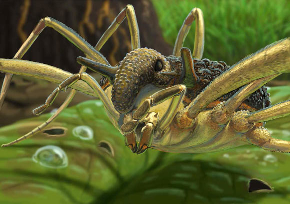 An artist’s reconstruction of Balticolasma wunderlichi male. Image credit: Joshua Knüppe.