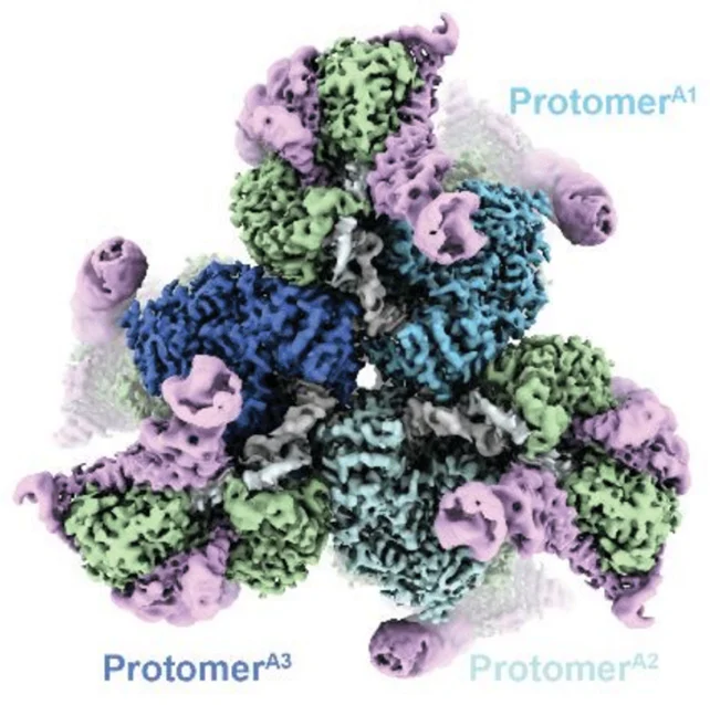 Graphic representation of DNA structure