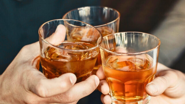 Three individuals raising glasses in a celebratory toast