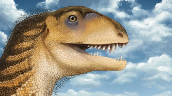 An artistic rendition of Ptychotherates bucculentus. Image credit: Megan Sodano / Virginia Tech.