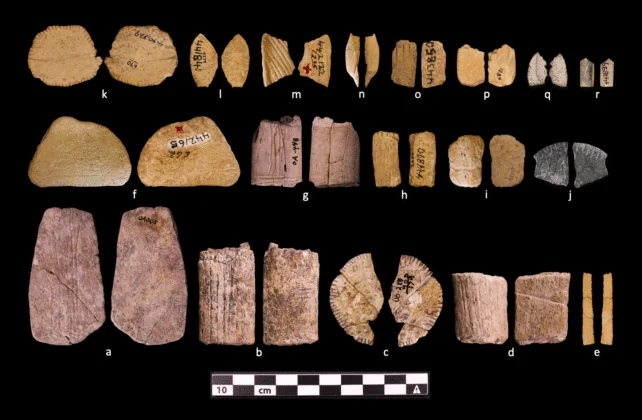 Archeologists May Have Uncovered The World's Oldest Dice