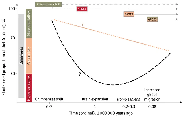 Gene chart