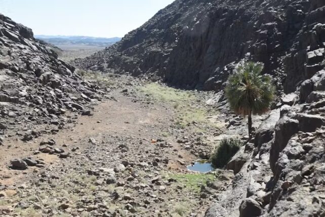 Archaeologists Discover Hundreds of Strange, Ancient Mass Graves in The Desert