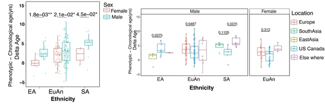 Where You Live May Affect How Rapidly You Age