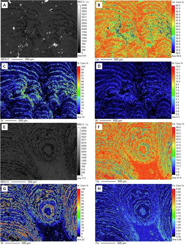 The team used electron backscattering to study the mineral composition of the stromatolites.