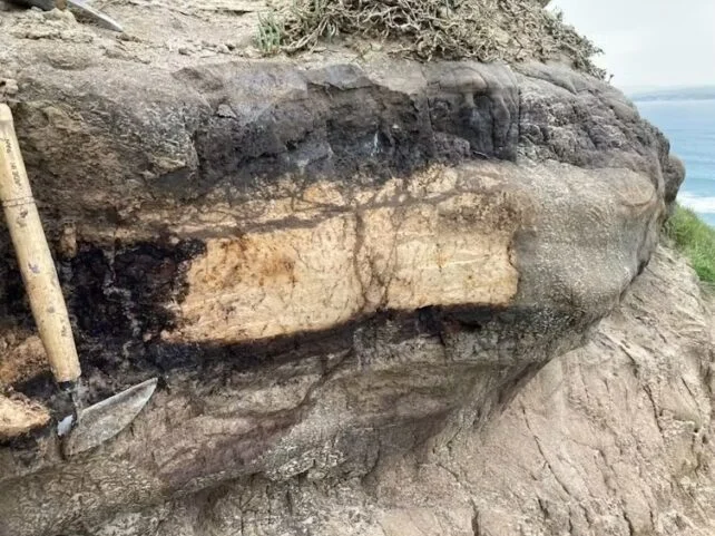 A 'Supereruption' Transformed NZ 350,000 Years Ago. We Now Know How It Happened