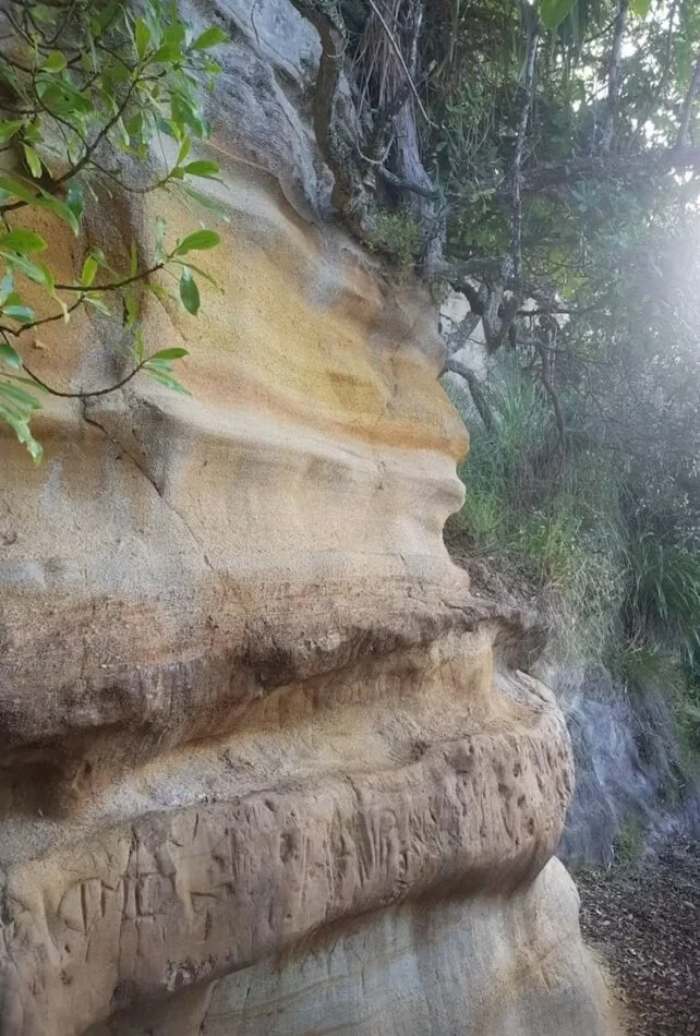 A 'Supereruption' Transformed NZ 350,000 Years Ago. We Now Know How It Happened