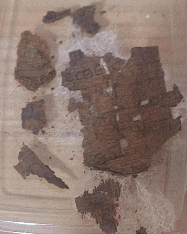 Papyrus fragments