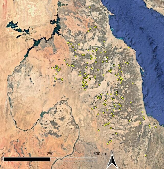Archaeologists Discover Hundreds of Strange, Ancient Mass Graves in The Desert