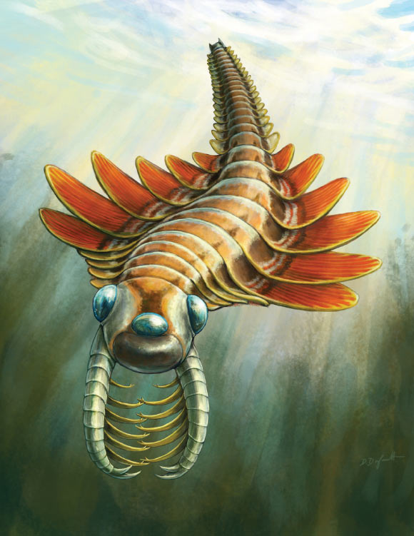 Life reconstruction of Mosura fentoni. Image credit: Danielle Dufault, Royal Ontario Museum.