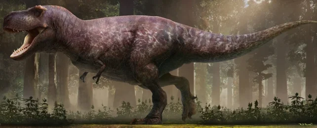 An artist's rendition of a T. rex showcasing its famously underdeveloped arms.