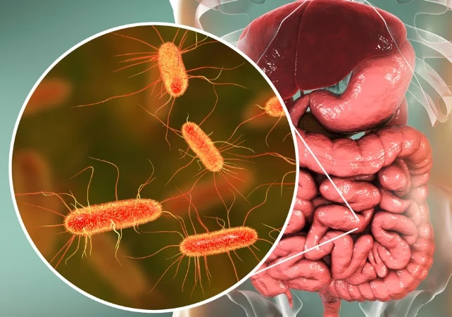 Diagram of human intestines in the background, with gut bacteria shown in a circle at the foreground