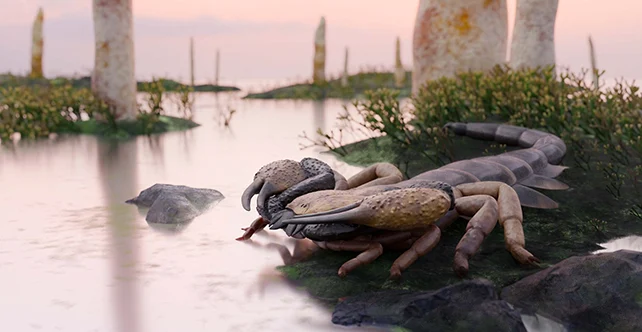 An artist's rendition of Praearcturus gigas.