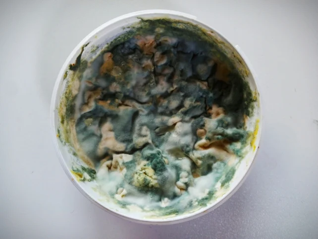 A bowl containing food with visible mold.