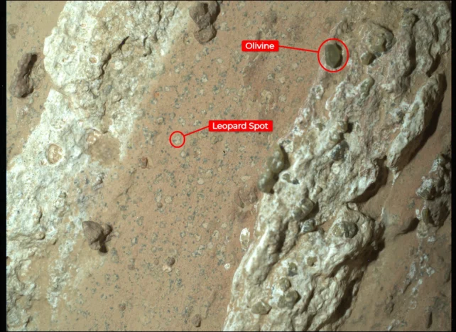 Annotated Perseverance rover image of a Martian rock surface, with red labels marking an olivine crystal and a small 